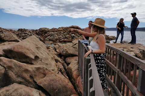 Margaret River Impression Day Tour From Perth - Accommodation QLD 4