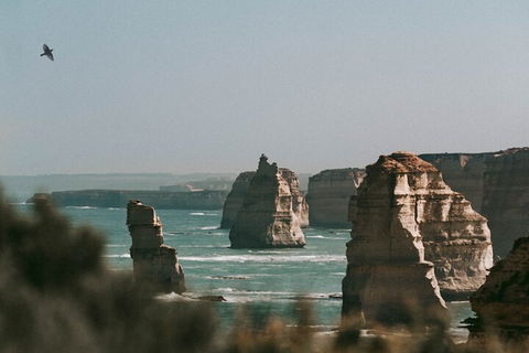 Half-Day Or Full-Day Tour With Private Guide From Melbourne - Accommodation QLD 0