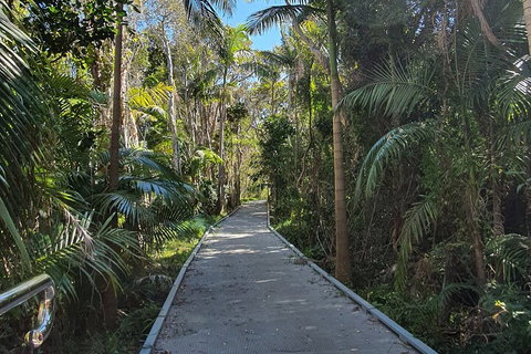 Half Day Guided Small Group Walk - Accommodation QLD 3