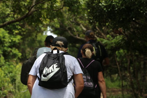 Half Day Guided Small Group Walk - Accommodation QLD 4