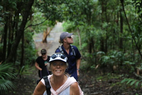 Half Day Guided Small Group Walk - Accommodation QLD 5