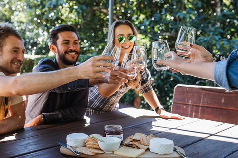 Full-day Wine-Tasting And Tamborine Mountain Tour With Lunch - Accommodation QLD 0
