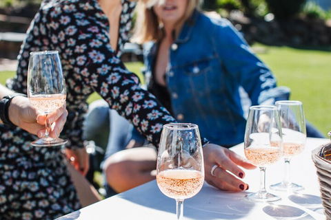 Full-day Wine-Tasting And Tamborine Mountain Tour With Lunch - Accommodation QLD 1