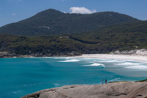 Wilson's Promontory Small Group Eco Tour From Melbourne - Accommodation QLD 0