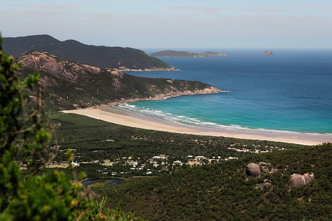 Wilson's Promontory Small Group Eco Tour From Melbourne - Accommodation QLD 4