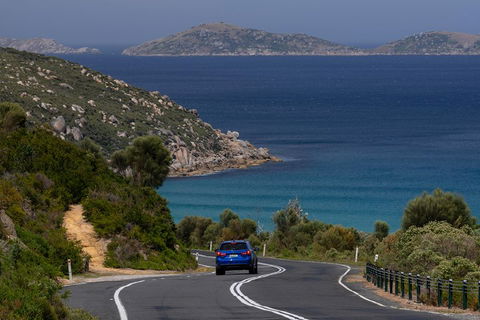 Wilson's Promontory Small Group Eco Tour From Melbourne - Accommodation QLD 5