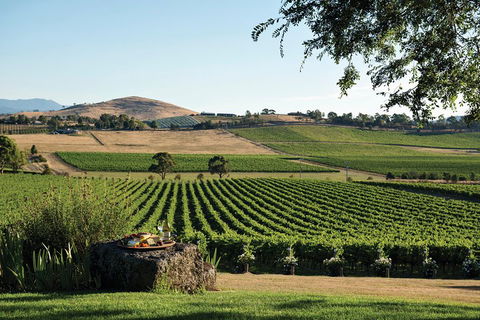 Small Group 6 Guests: Ultimate Yarra Valley Food And Wine - Mercedes Van - Accommodation QLD 4