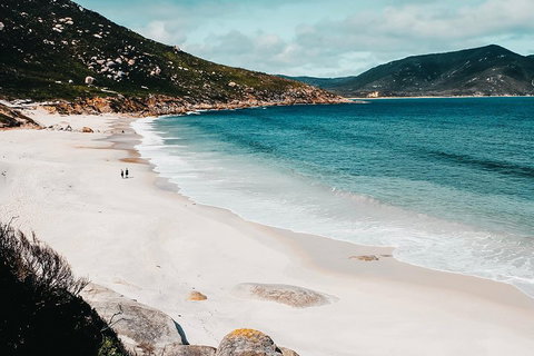 Small Group - Wilsons Promontory Hiking Day Tour From Melbourne - Accommodation QLD 2