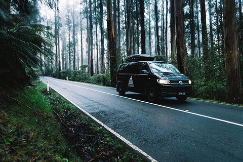 Small Group - Wilsons Promontory Hiking Day Tour From Melbourne - Accommodation QLD 4