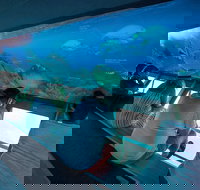 Great Barrier Reef Day Cruise to Reefworld - Accommodation QLD