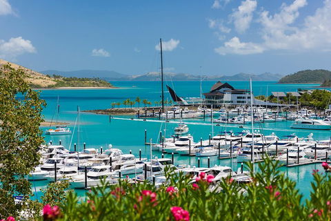 Whitehaven Beach And Hamilton Island Cruise - Accommodation QLD 3
