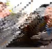 Bonorong Wildlife Park and Richmond Afternoon Tour from Hobart - Accommodation QLD