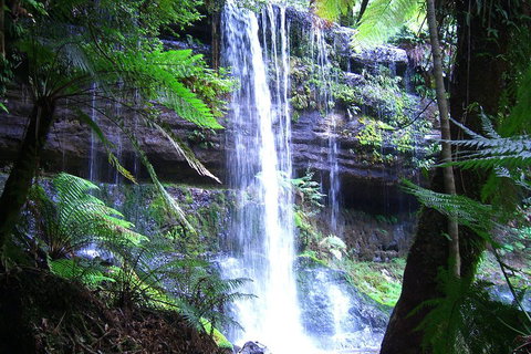 Mt Field National Park And Russell Falls From Hobart - Accommodation QLD 0