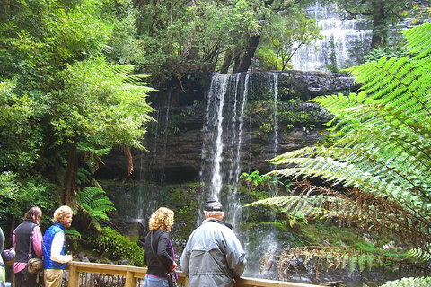 Mt Field National Park And Russell Falls From Hobart - Accommodation QLD 1
