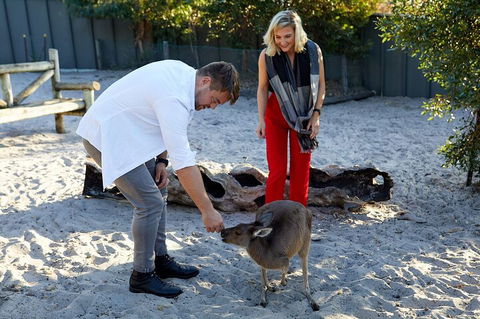 Albany's Whale Story - Accommodation QLD 1