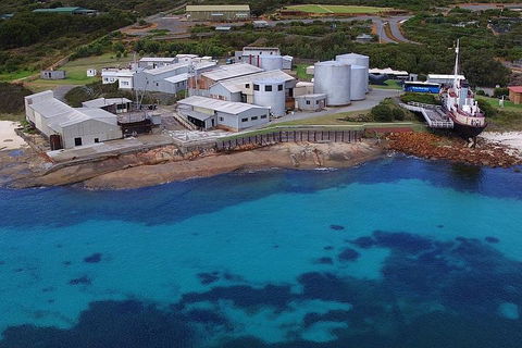 Albany's Whale Story - Accommodation QLD 4