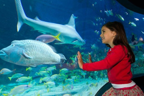 Melbourne BIG Ticket - LEGOLAND Discovery And SEA LIFE Melbourne - Accommodation QLD 1