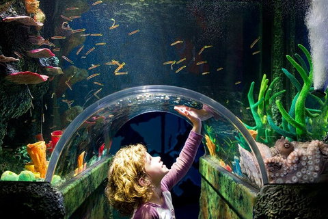 Melbourne BIG Ticket - LEGOLAND Discovery And SEA LIFE Melbourne - Accommodation QLD 2