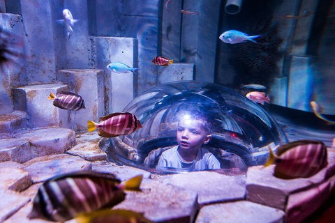 Melbourne BIG Ticket - LEGOLAND Discovery And SEA LIFE Melbourne - Accommodation QLD 5