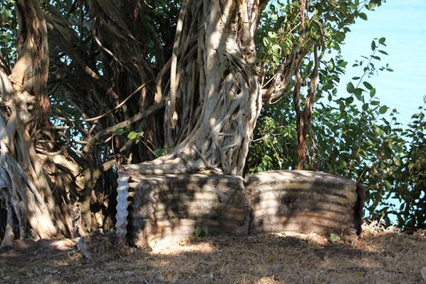 Darwin Walking Tour: World War II Reflections - Accommodation QLD 3