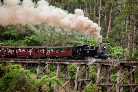Melbourne Combo: Great Ocean Road, Puffing Billy, Moonlit Sanctuary & Penguins - Accommodation QLD 1