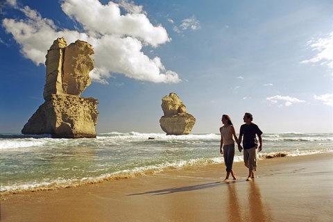 Melbourne Combo: Great Ocean Road, Puffing Billy, Moonlit Sanctuary & Penguins - Accommodation QLD 2