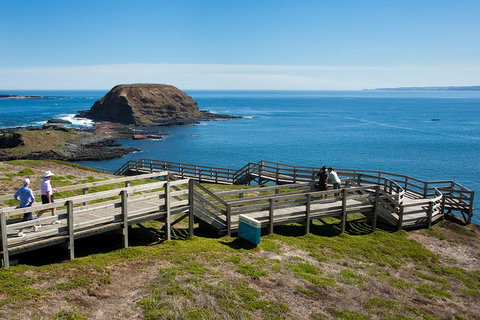 Melbourne Combo: Great Ocean Road, Puffing Billy, Moonlit Sanctuary & Penguins - Accommodation QLD 5