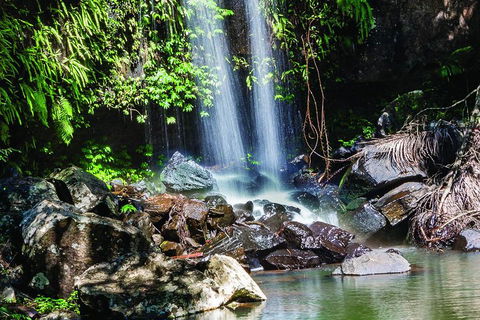 Full Day Small Group Luxury Tour To Tamborine Mountain - Accommodation QLD 0