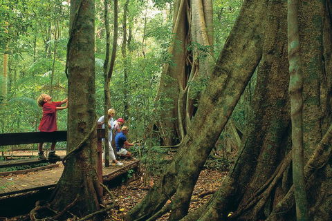 Full Day Small Group Luxury Tour To Tamborine Mountain - Accommodation QLD 1