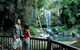 Full Day Small Group Luxury Tour To Tamborine Mountain - thumb 4