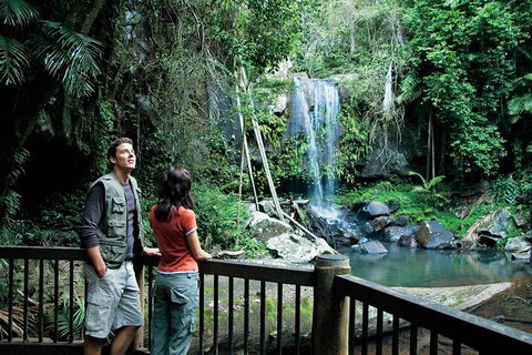 Full Day Small Group Luxury Tour To Tamborine Mountain - Accommodation QLD 4