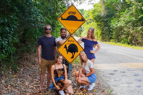 Cape Tribulation, Daintree Rainforest And Wildlife Tour - Accommodation QLD 0