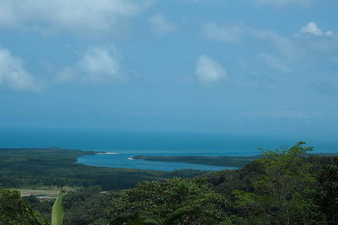 Cape Tribulation, Daintree Rainforest And Wildlife Tour - Accommodation QLD 1