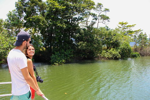 Cape Tribulation, Daintree Rainforest And Wildlife Tour - Accommodation QLD 2