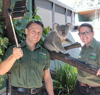 Virtual Interactive Australian Wildlife Tour With Private Guide-Wildlife Habitat - Accommodation QLD