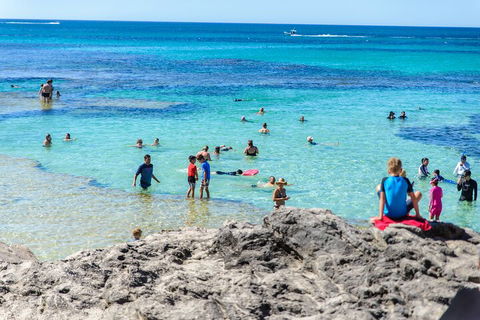 Rottnest Island Roundtrip Fast Ferry From Hillarys Boat Harbour - Accommodation QLD 1
