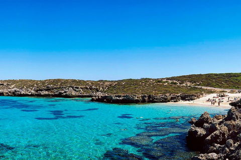 Rottnest Island Roundtrip Fast Ferry From Hillarys Boat Harbour - Accommodation QLD 4