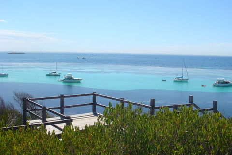 Rottnest Bayseeker Bus Tour From Hillarys Boat Harbour - Accommodation QLD 3