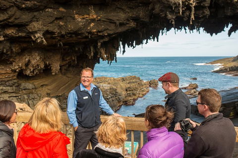 Kangaroo Island In A Day Tour From Adelaide - Accommodation QLD 3