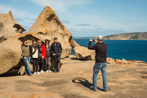 Kangaroo Island In A Day Tour From Adelaide - Accommodation QLD 4