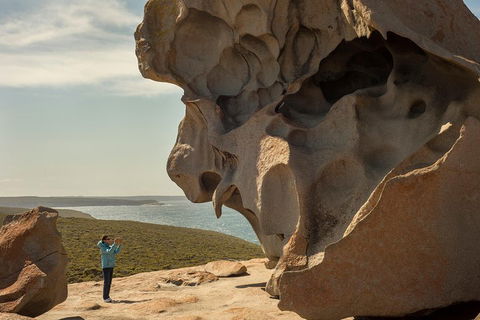Kangaroo Island In A Day Tour From Adelaide - Accommodation QLD 5