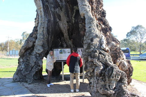 Barossa And Hahndorf Day Trip From Adelaide Including Wine Tasting And Lunch - Accommodation QLD 1