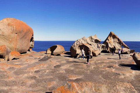 Full-Day Kangaroo Island Experience Departing From Kangaroo Island - Accommodation QLD 4