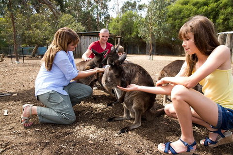 Full-Day Kangaroo Island Experience Departing From Kangaroo Island - Accommodation QLD 5