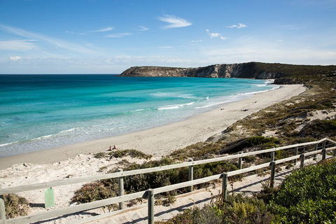 Full Day Kangaroo Island Sip And See Tour Departing From Kangaroo Island - Accommodation QLD 5