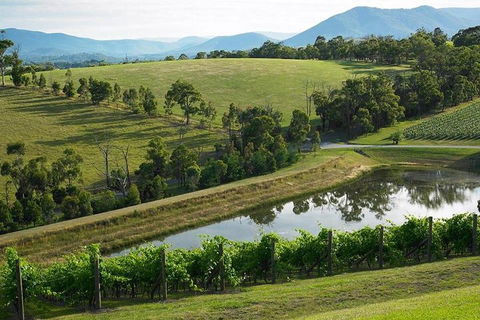 CHEVY CONVERTIBLE Package For 2 People- Wine Lunch Cheese & Chocolate From Melb. - Accommodation QLD 0