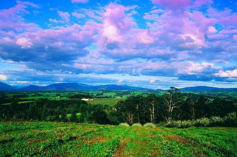 CHEVY CONVERTIBLE Package For 4 -Wine Lunch Cheese & Chocolate From Yarra Valley - Accommodation QLD 4
