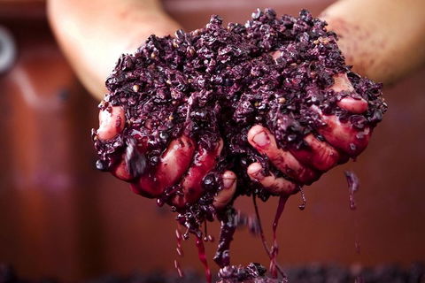 CHEVY CONVERTIBLE Package For 4 -Wine Lunch Cheese & Chocolate From Yarra Valley - Accommodation QLD 5
