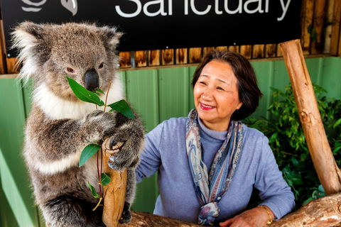 Moonlit Sanctuary Wildlife Conservation Park Daytime General Entry Ticket - Accommodation QLD 0