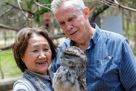 Moonlit Sanctuary Wildlife Conservation Park Daytime General Entry Ticket - Accommodation QLD 3